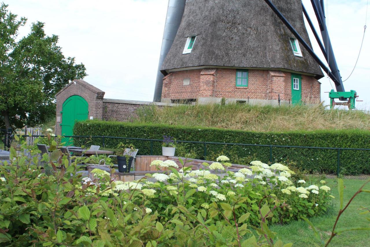 Bij Molen De Blazekop, Rustig En Landelijk Ovezande Екстер'єр фото