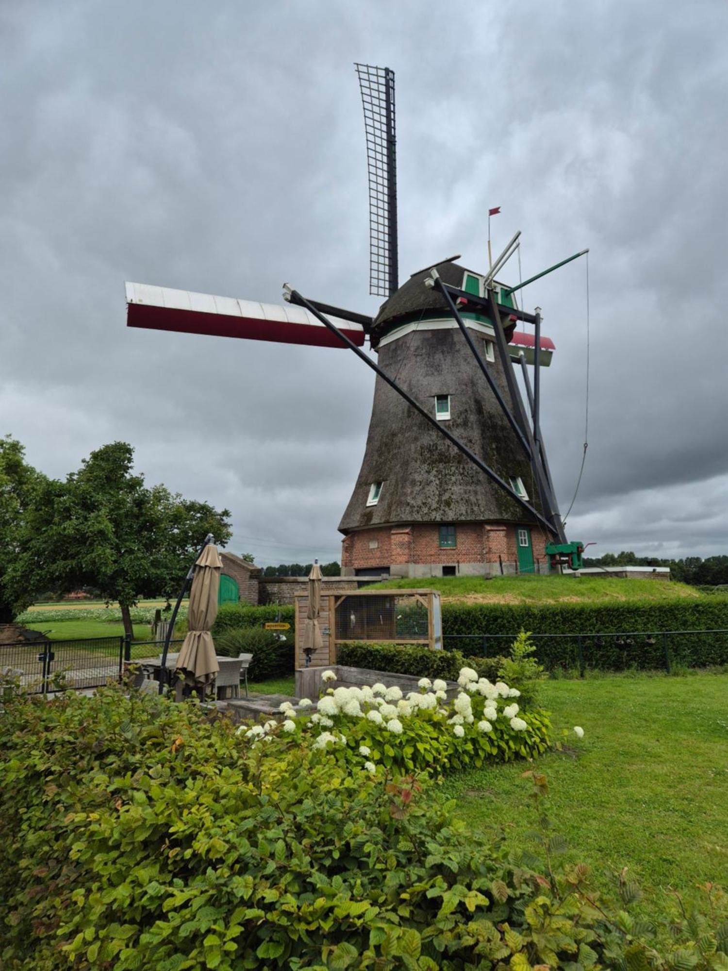 Bij Molen De Blazekop, Rustig En Landelijk Ovezande Екстер'єр фото